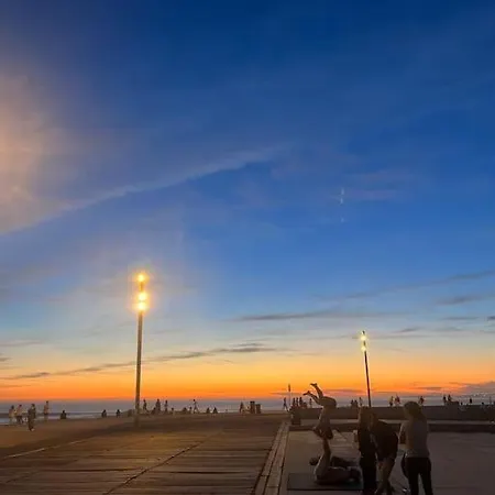 Dreamy Oceanfront Surf Penthouse With Epic Rooftop Apartment